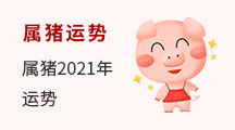 属猪运势